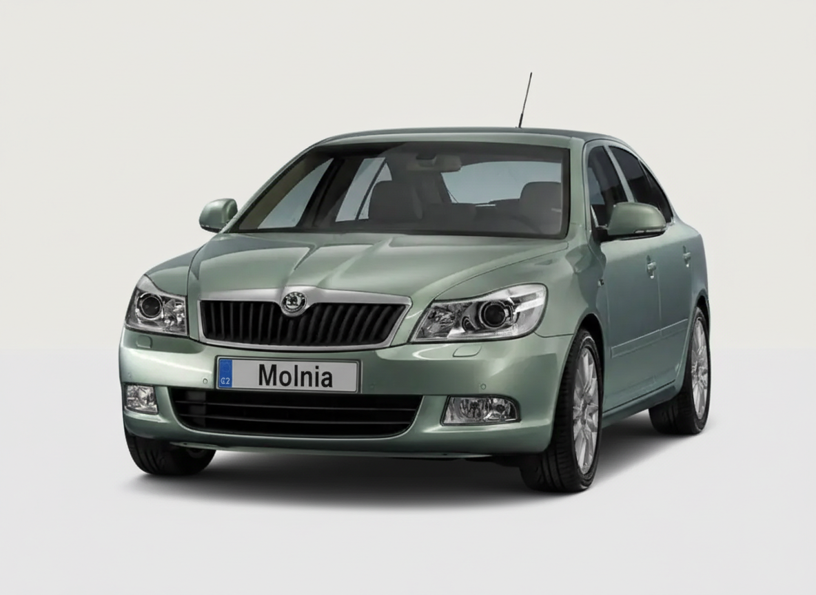 Skoda Octavia — корпоративный парк Молния